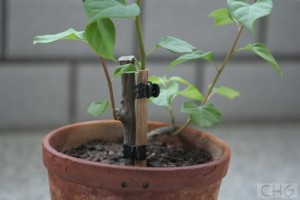 0907051044567bb2bcfb7d8acc