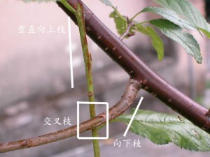 09070614010df49be3c29ee329.jpg.thumb