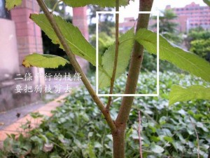 0907061401baa9e319fabdc619