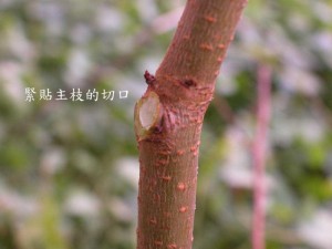 0907061401fe12ca27dc0975ce.jpg.thumb