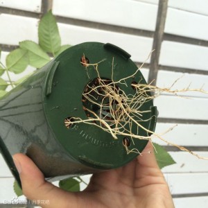 256fab51f3deb48facd50114f21f3a292ff578d5