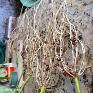 2b4bb08f8c5494eed29eafd32ff5e0fe9b257ed5