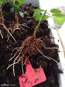 3f8494ef76c6a7efd49a08ecfffaaf51f1de66d5