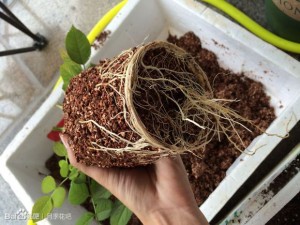 77c4f7deb48f8c54b56f65e538292df5e2fe7fd5