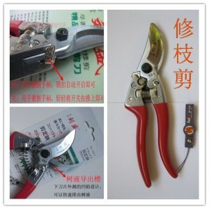 072319xbw19tup2dwuup4a.jpg.thumb