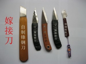 072820rirddzi5q6gmz6ii.jpg.thumb