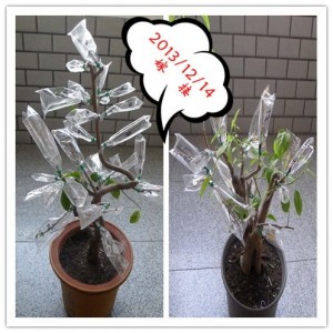 081237c79cymlqfbx9y1m1.jpg.thumb