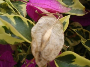 1202122055eb04b49e7adb6408