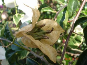 120502xh8hi3th2h33szl8.jpg.thumb