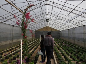 130722thzb167buepuaihb.jpg.thumb