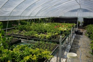 135353adg6lbcfod7go7od.jpg.thumb