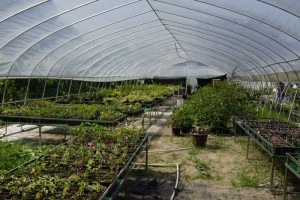 135408yn8ay868ru6p2yrj.jpg.thumb