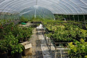 135420yi8yi3xx23722pfx.jpg.thumb