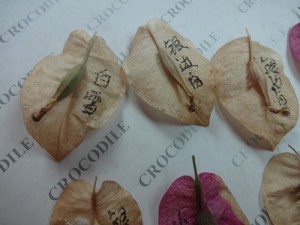 141314b9ly9cqnzuz9tzzz.jpg.thumb