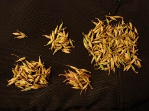 212626a46ibye0cn66nv66.jpg.thumb