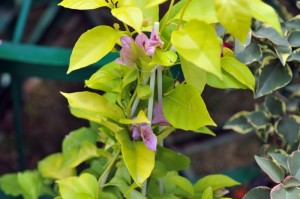 212639hp8r4r8no2v9npnp.jpg.thumb