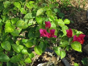 21471571w6g7g1swdhp3kk.jpg.thumb