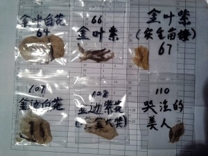 223424oqg8m8ikco0ik0oz.jpg.thumb